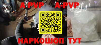дмт Кингисепп