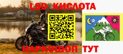гашик Кимры