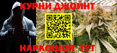 дмт Кингисепп