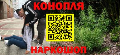 гашик Кимры