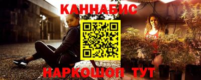 дмт Кингисепп