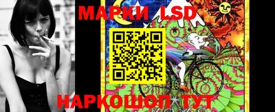 гашик Кимры