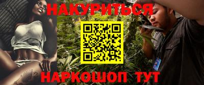 дмт Кингисепп