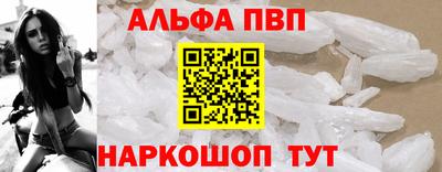 дмт Кингисепп