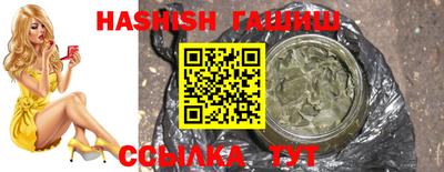 дмт Кингисепп