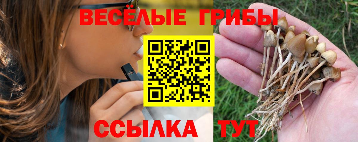 Псилоцибиновые грибы Cubensis  Вход с VPN  Киселёвск 